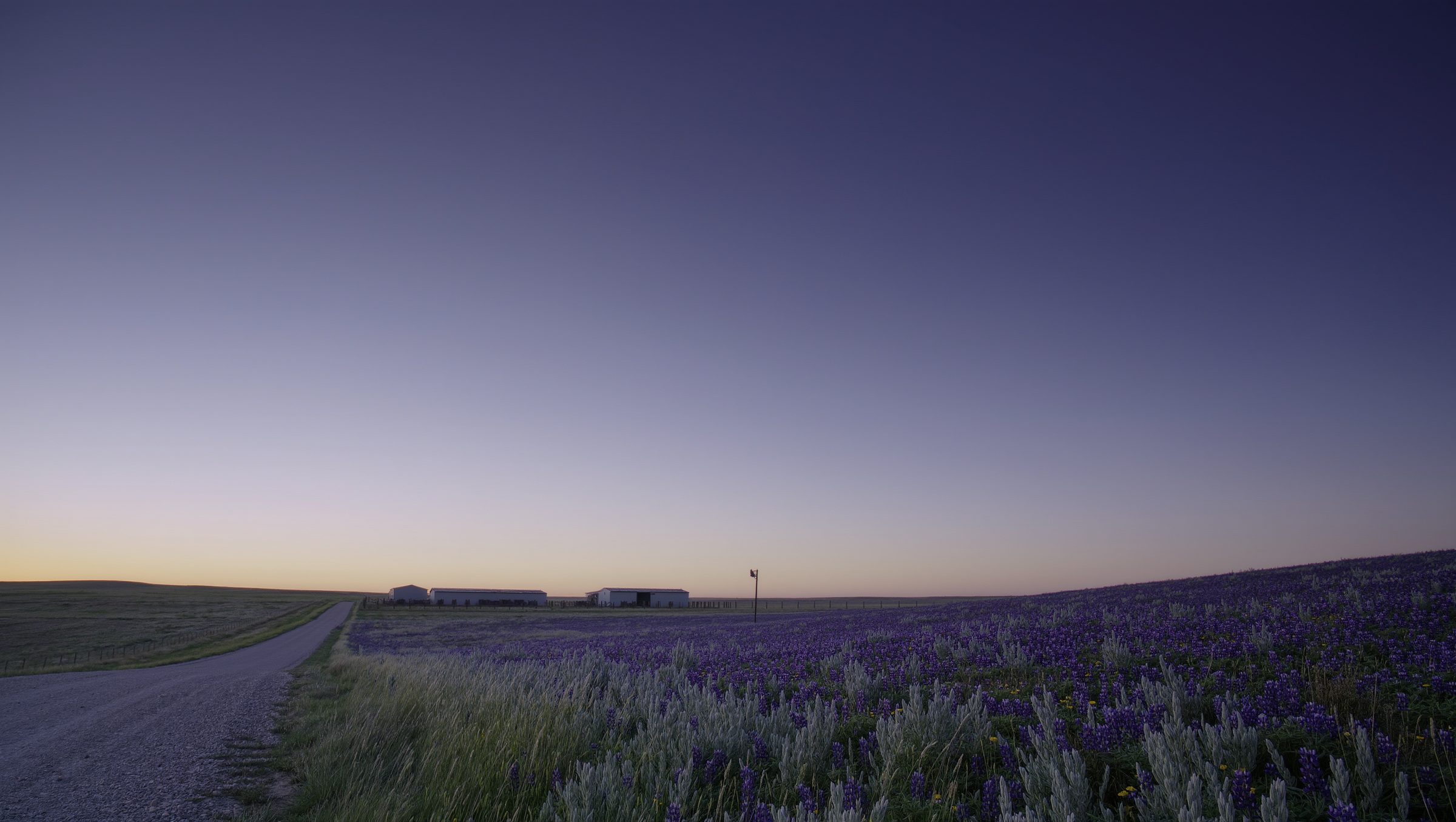 Open ranch land at dusk